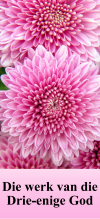 E38